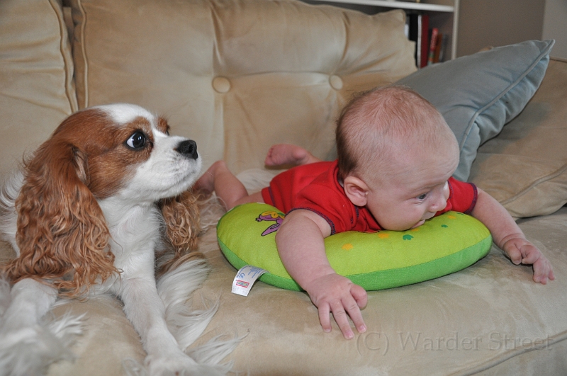 William's Tenth Week 06.jpg